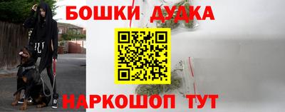 индика Кулебаки
